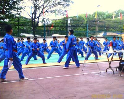 vovinam01 Vovinam   Cương nhu phối triển